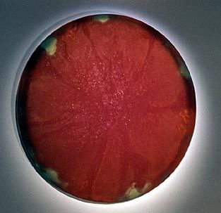 Mass-Con 1969 (1969), painting
