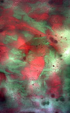 Com 69 (detail) (1969), painting